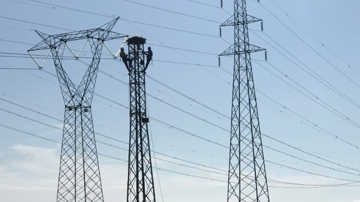 Immagini dell'intervento di sbassamento del traliccio